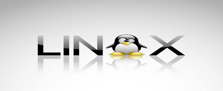 LINUX INTERNAL and RTOS Training in Lucknow